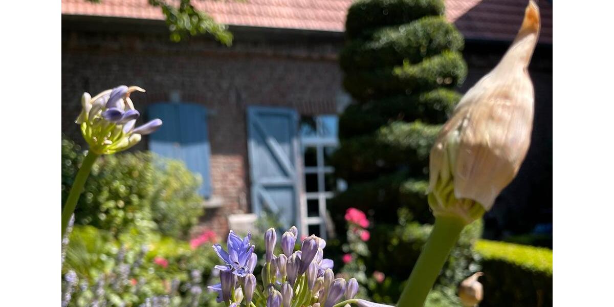Einfamilienhaus Gangelt - 10 Zimmer, 185 m&sup2;, 1.395.000&euro; | Angebot:27182934