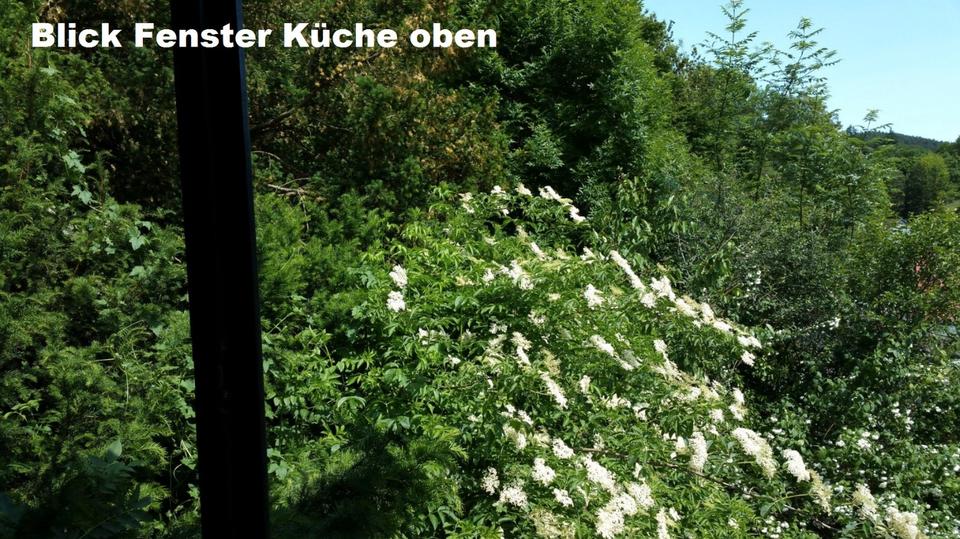 Einfamilienhaus Heimbach - 4 Zimmer, 115 m&sup2;, 99.000&euro; | Angebot:26254843