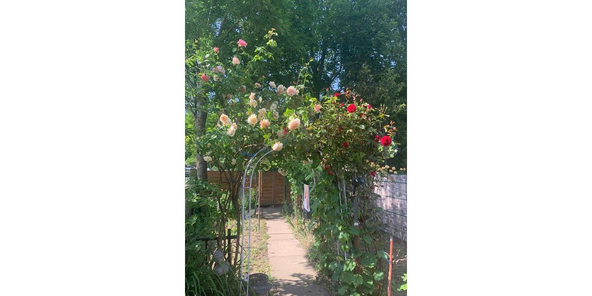 Reihenhaus Eschweiler - 4 Zimmer, 100 m&sup2;, 230.000&euro; | Angebot:25103432