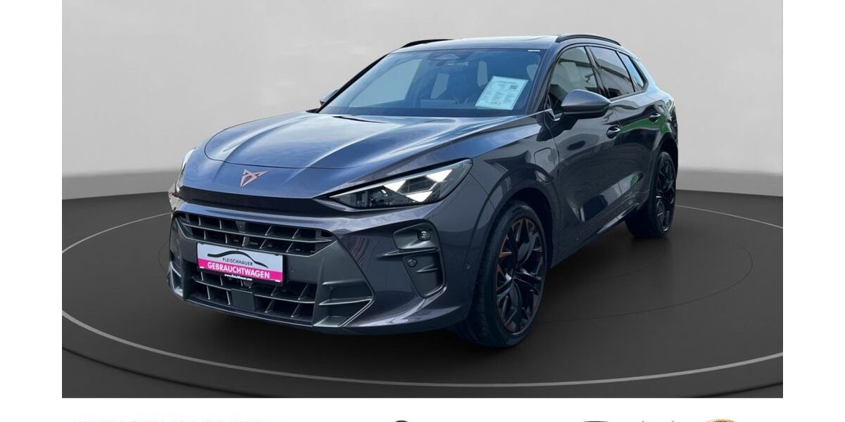 Cupra Terramar 10.821 km 44.890 &euro; Aachen 52068