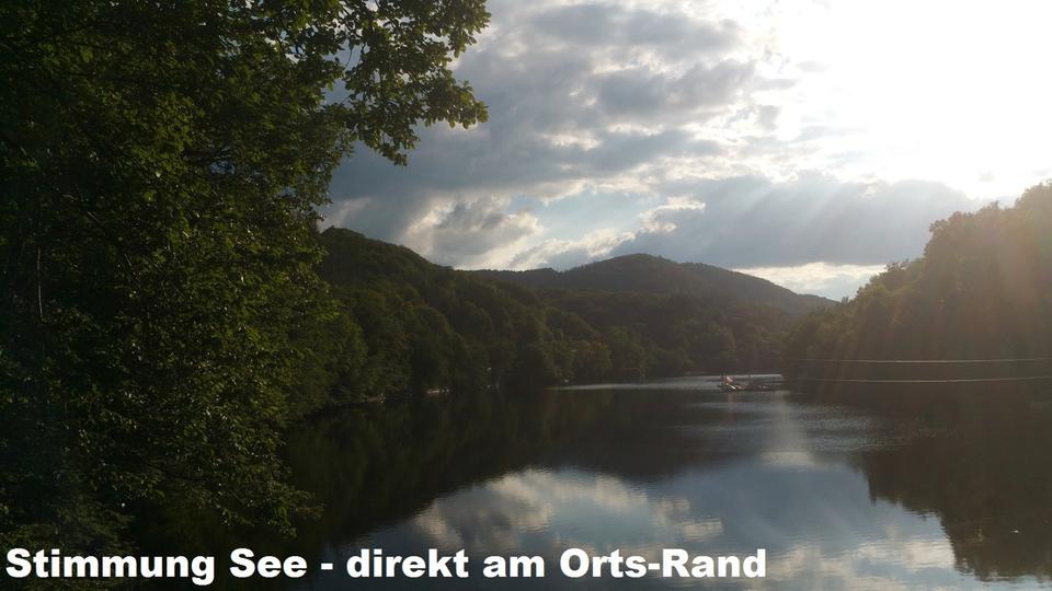 Einfamilienhaus Heimbach - 4 Zimmer, 115 m&sup2;, 99.000&euro; | Angebot:26254843