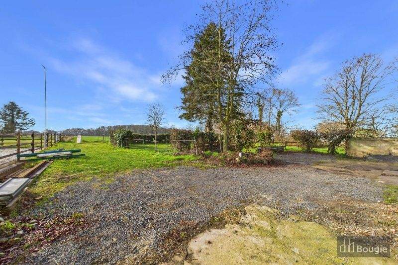 Mehrfamilienhaus, Wohnhaus Gangelt Schierwaldenrath - 7 Zimmer, 252 m&sup2;, 395.000&euro; | Angebot:25661027