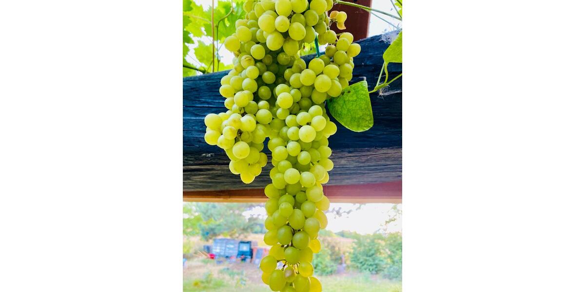 Einfamilienhaus Vettweiß - 7.5 Zimmer, 260 m&sup2;, 389.000&euro; | Angebot:26200569