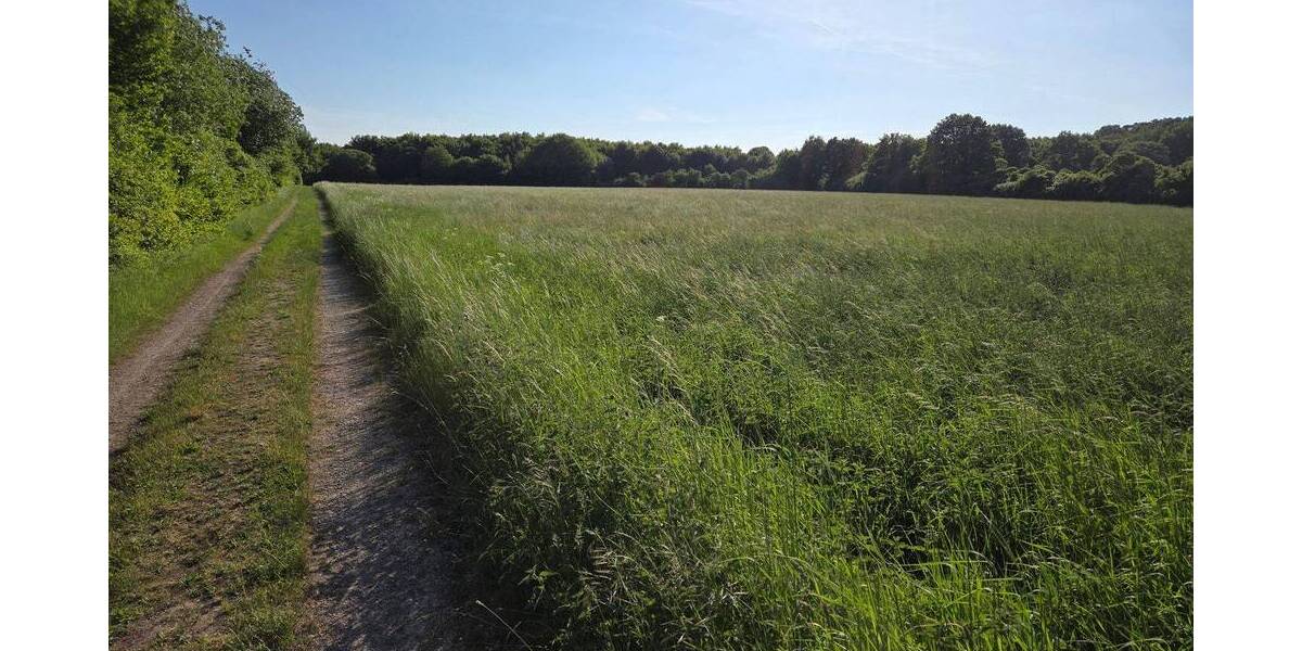 Grundstück Vettweiß Soller - 215.000&euro; | Angebot:25668625