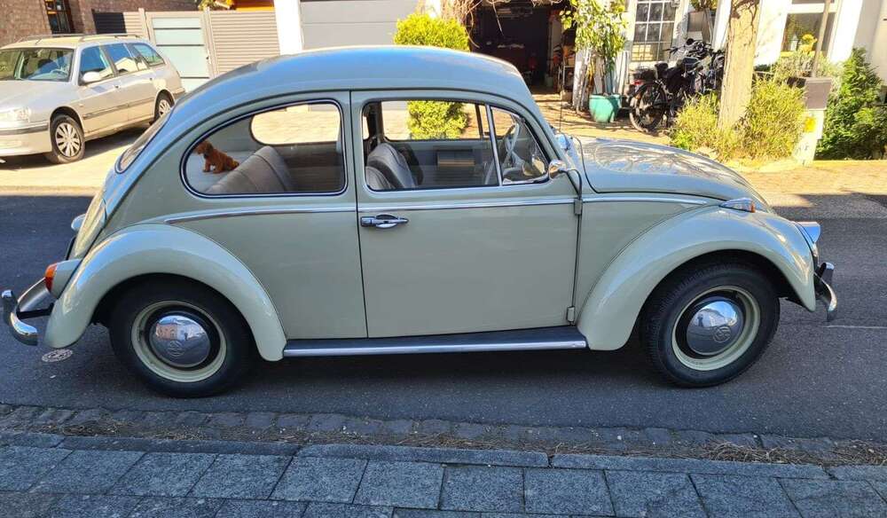 VW Käfer 68.500 km 15.000 &euro; Kreuzau 52372