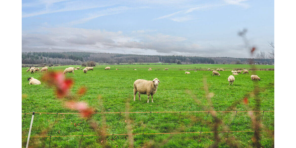 Einfamilienhaus Stolberg Breinig - 6 Zimmer, 140 m&sup2;, 375.000&euro; | Angebot:26192235