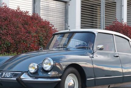 Citroen DS 85.516 km 27.900 &euro; Elsdorf 50189