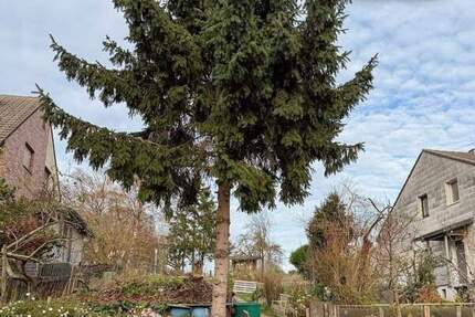 Grundstück Eschweiler Röhe - 69.000&euro; | Angebot:25699719