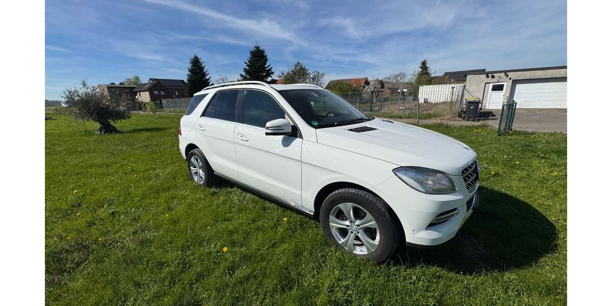 Mercedes-Benz ML 250 168.010 km 16.750 &euro; Elsdorf 50189