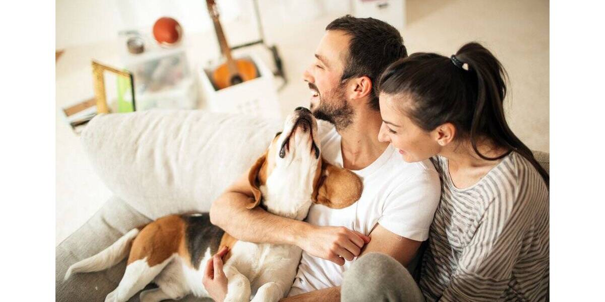 Einfamilienhaus Bedburg Kirchherten - 7 Zimmer, 216 m&sup2;, 482.837&euro; | Angebot:26806582