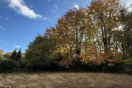 Grundstück Roetgen - 460.000&euro; | Angebot:23485284