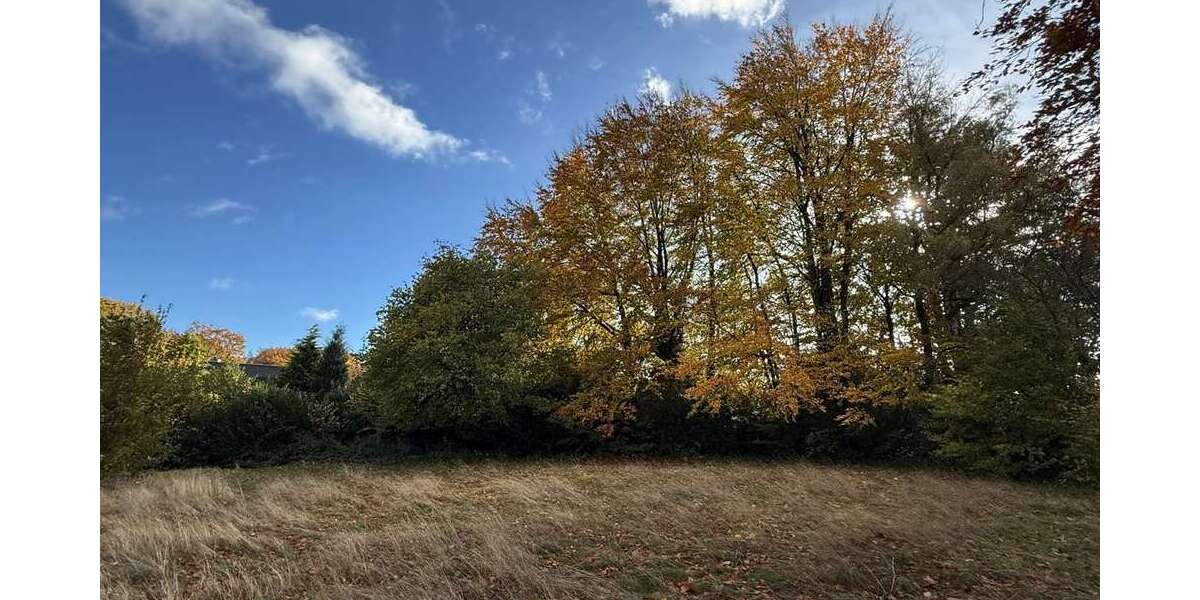 Grundstück Roetgen - 460.000&euro; | Angebot:23485284