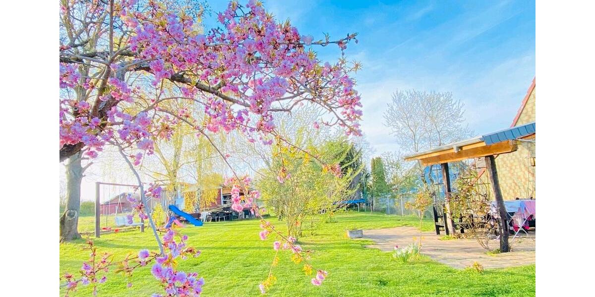 Einfamilienhaus Vettweiß - 8 Zimmer, 260 m&sup2;, 389.000&euro; | Angebot:26116276