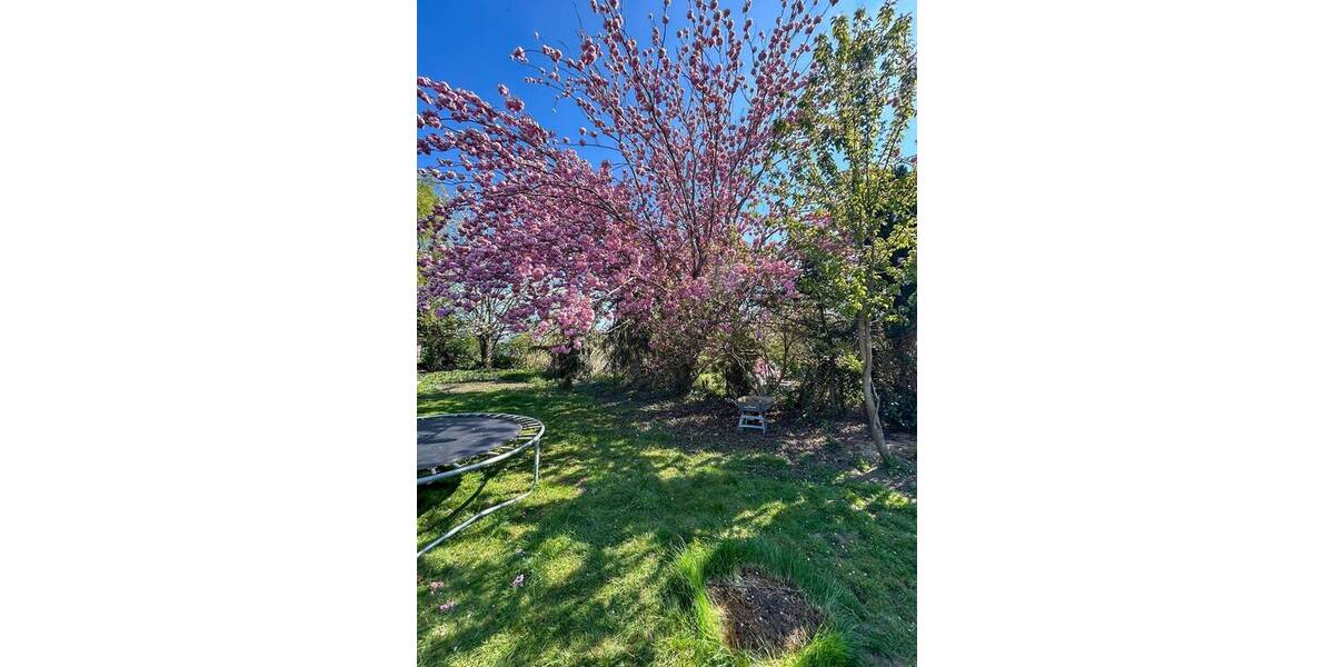 Doppelhaushälfte Gangelt / Langbroich Langbroich - 4 Zimmer, 121 m&sup2;, 179.000&euro; | Angebot:26217863