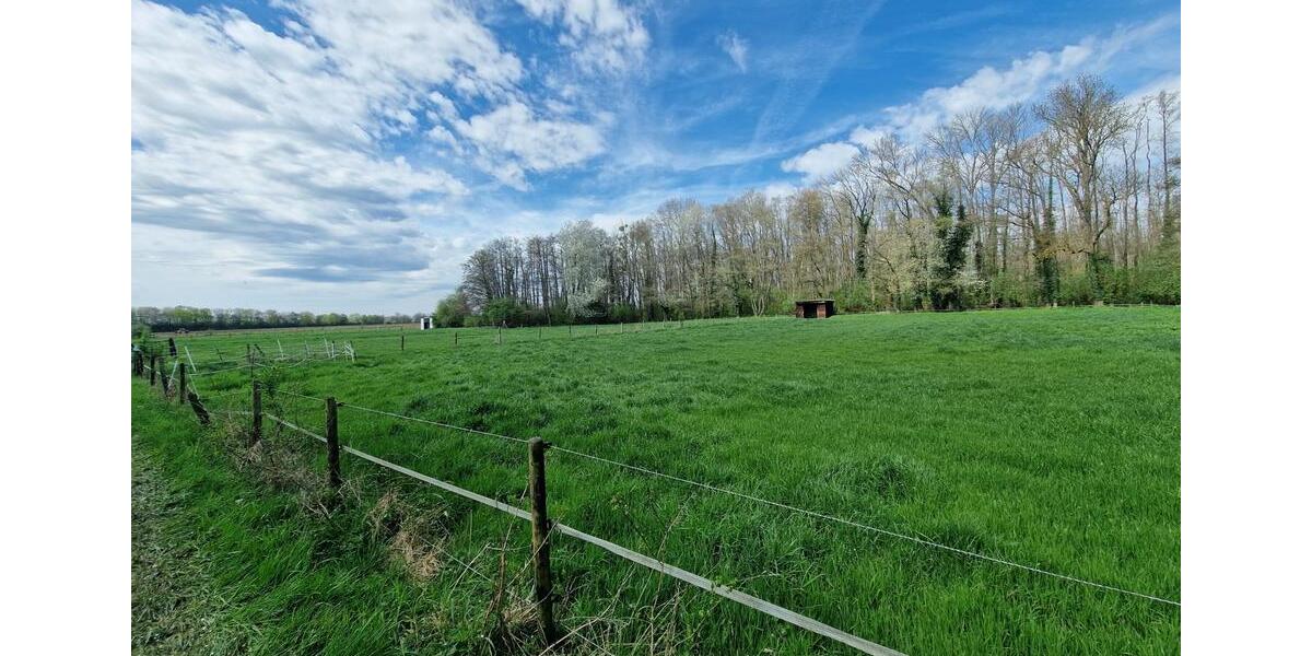 Bauernhaus, Landhaus Vettweiß - 7 Zimmer, 238 m&sup2;, 785.000&euro; | Angebot:26152345