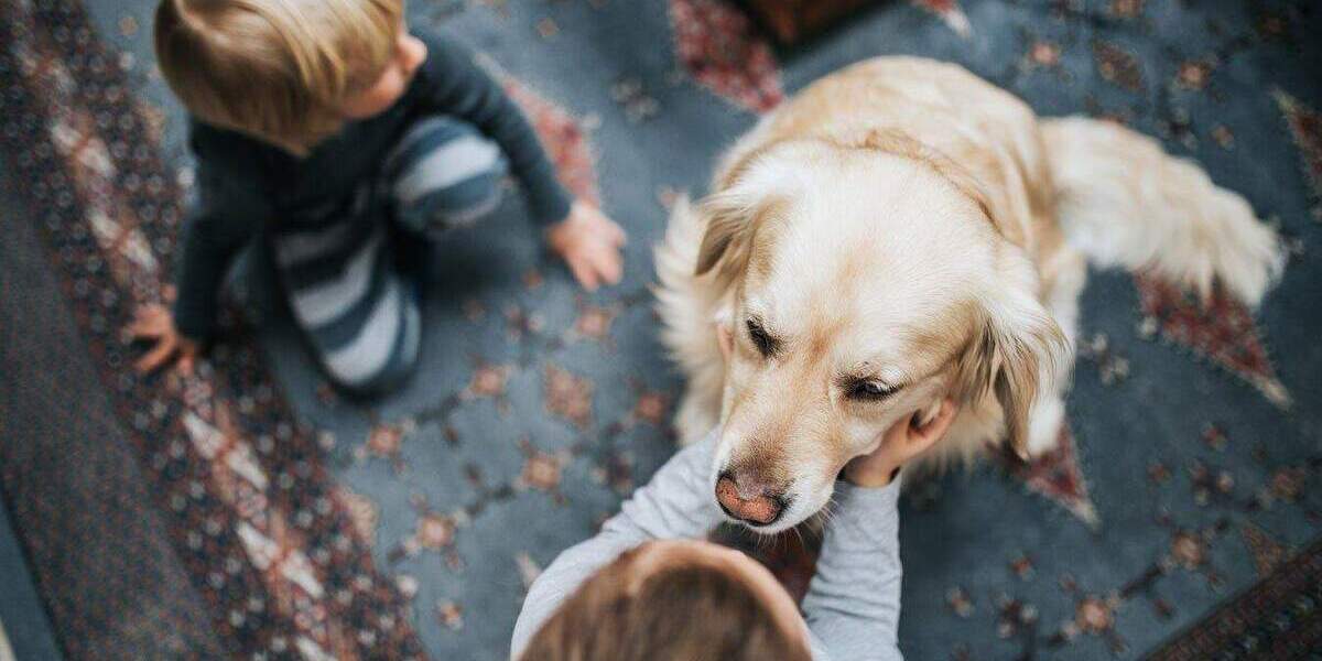 Einfamilienhaus Monschau - 6 Zimmer, 123 m&sup2;, 285.399&euro; | Angebot:25799463