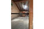 Gewerbeobjekt Aldenhoven - 550&euro; | Angebot:26703447