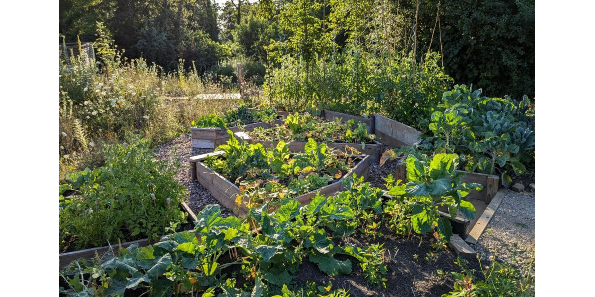 Etagenwohnung Düren Distelrath - 4 Zimmer, 87 m&sup2;, 512.988&euro; | Angebot:25904148