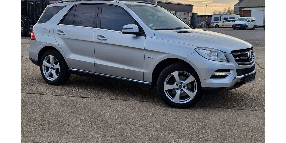 Mercedes-Benz ML 250 284.339 km 9.900 &euro; Titz 52445