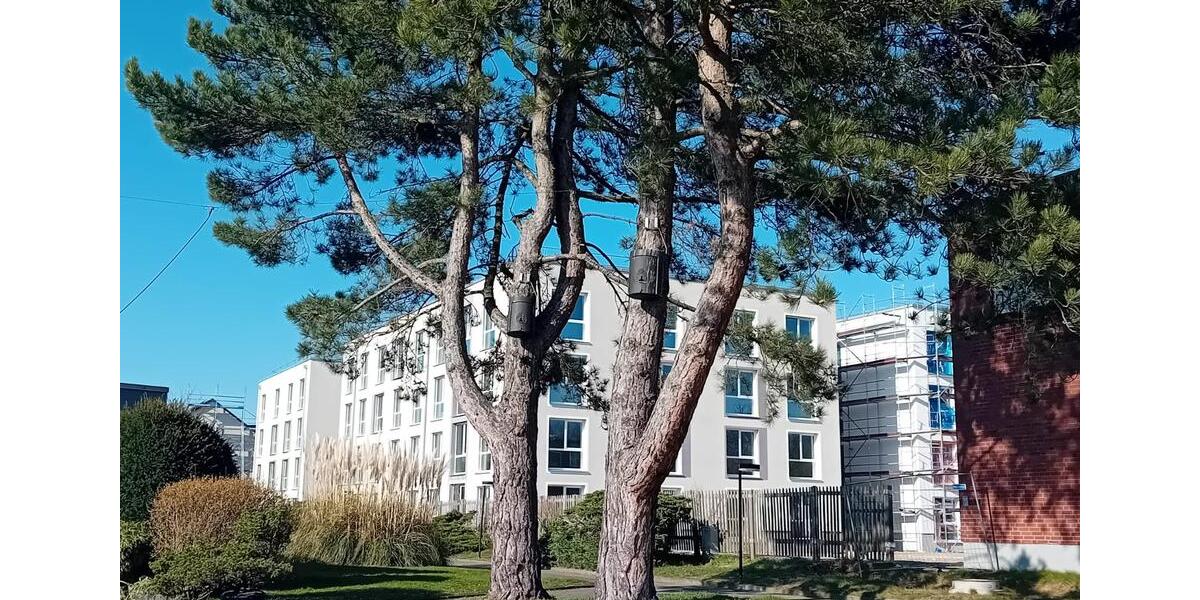 Etagenwohnung Jülich - 1 Zimmer, 25 m&sup2;, 398&euro; | Angebot:25215032