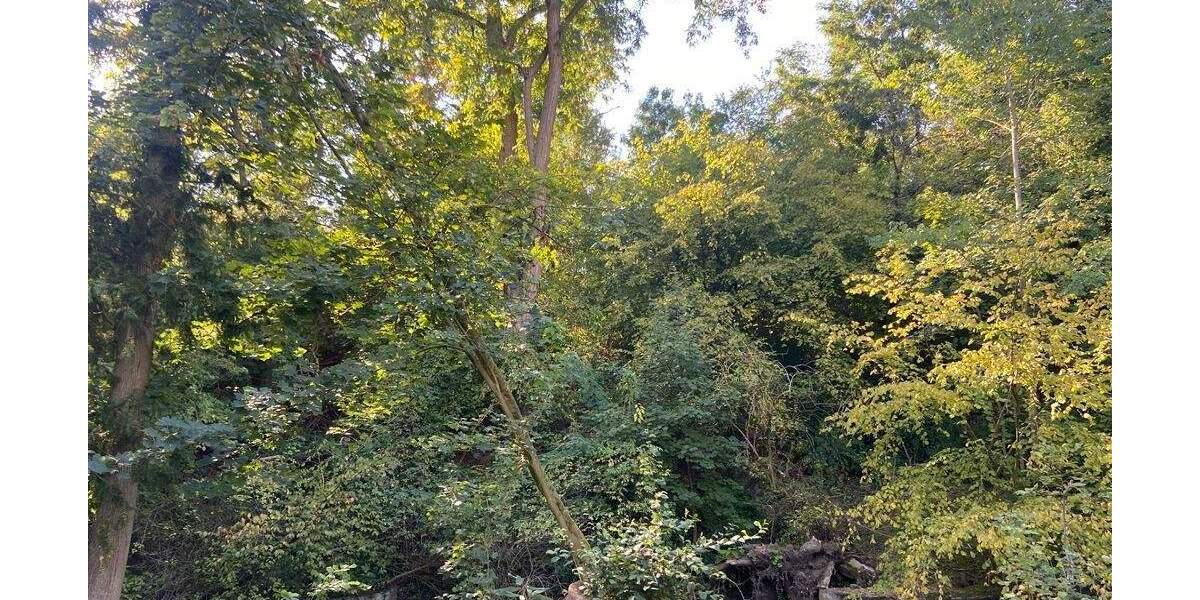 Grundstück Linnich - 1.500.000&euro; | Angebot:25746878