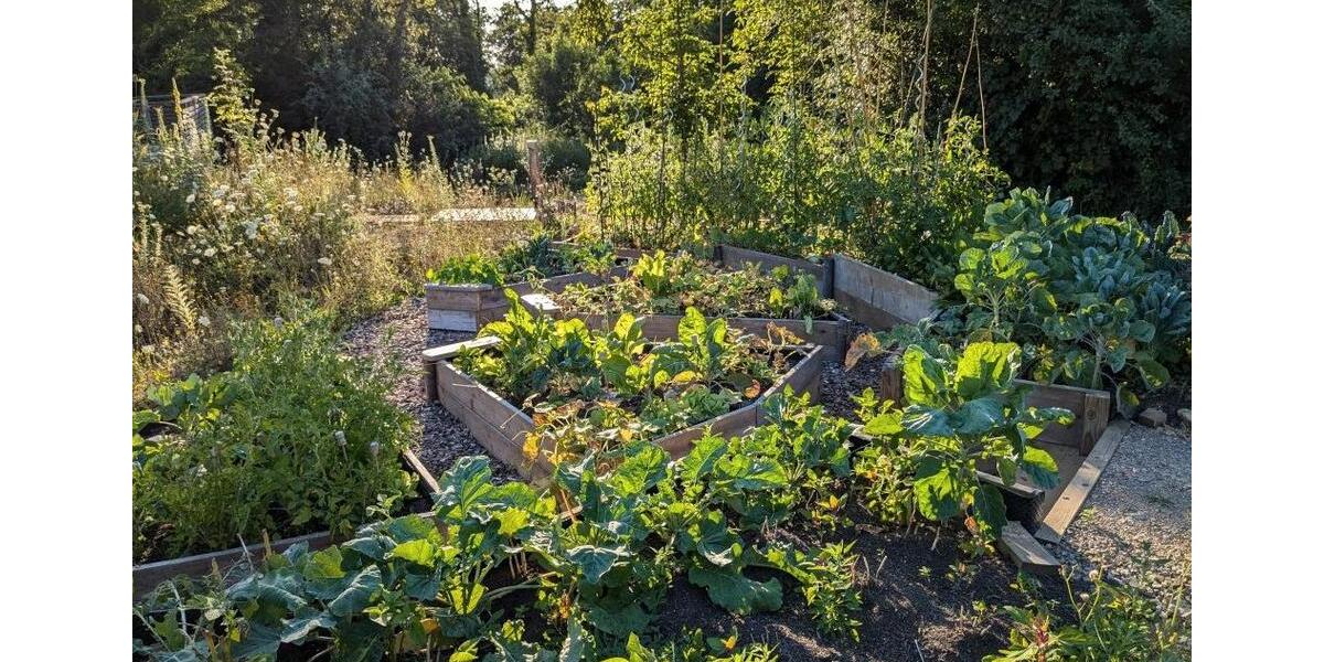 Einfamilienhaus Düren Distelrath - 4.5 Zimmer, 114 m&sup2;, 628.824&euro; | Angebot:26137135