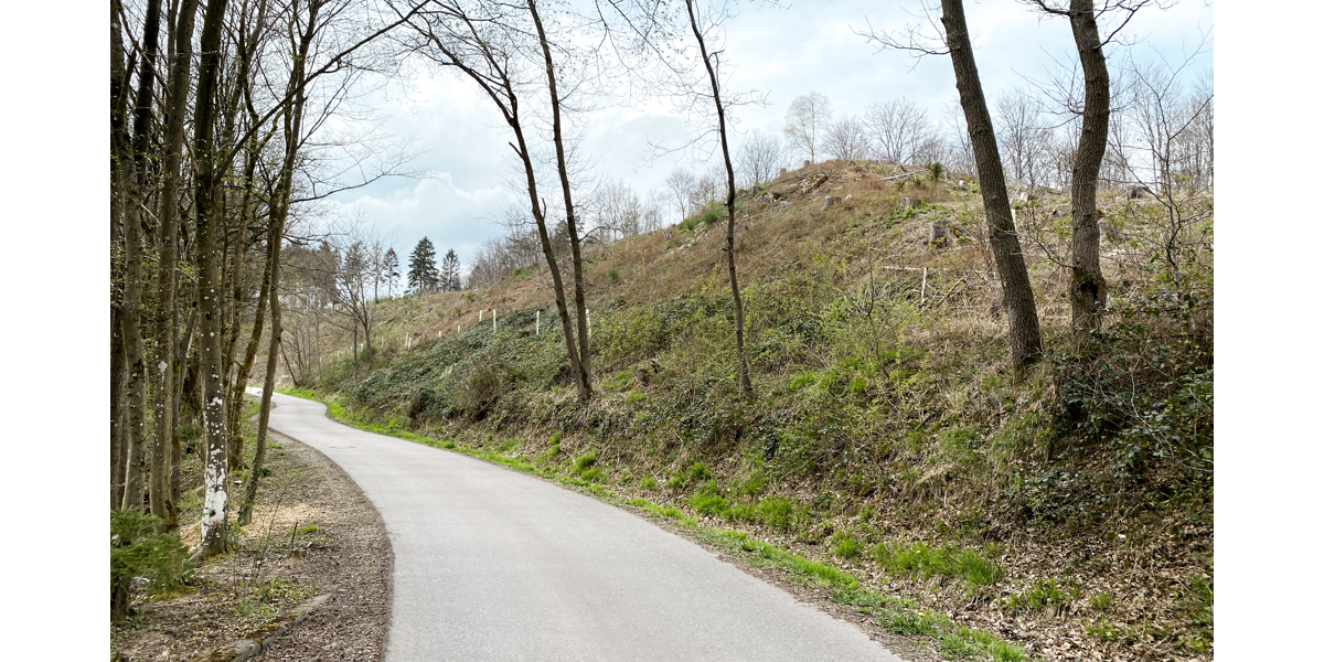 JÄSCHKE - Grundstück in Schevenhütte - Grundstück Stolberg Gressenich | Angebot:22508340