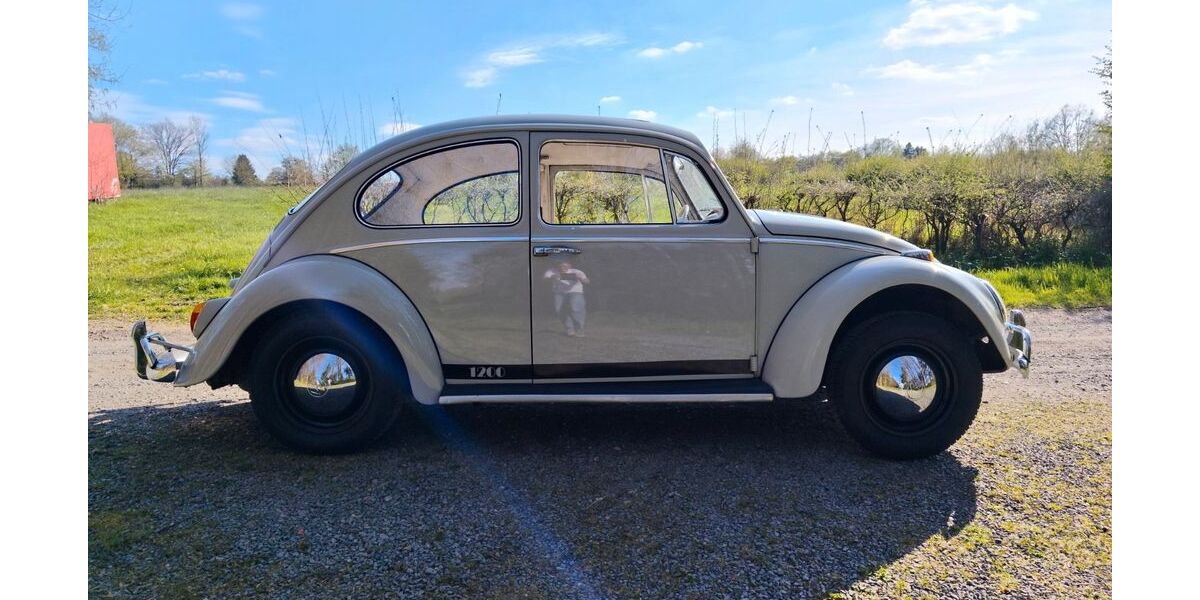 VW Käfer 68.500 km 12.500 &euro; Roetgen 52159
