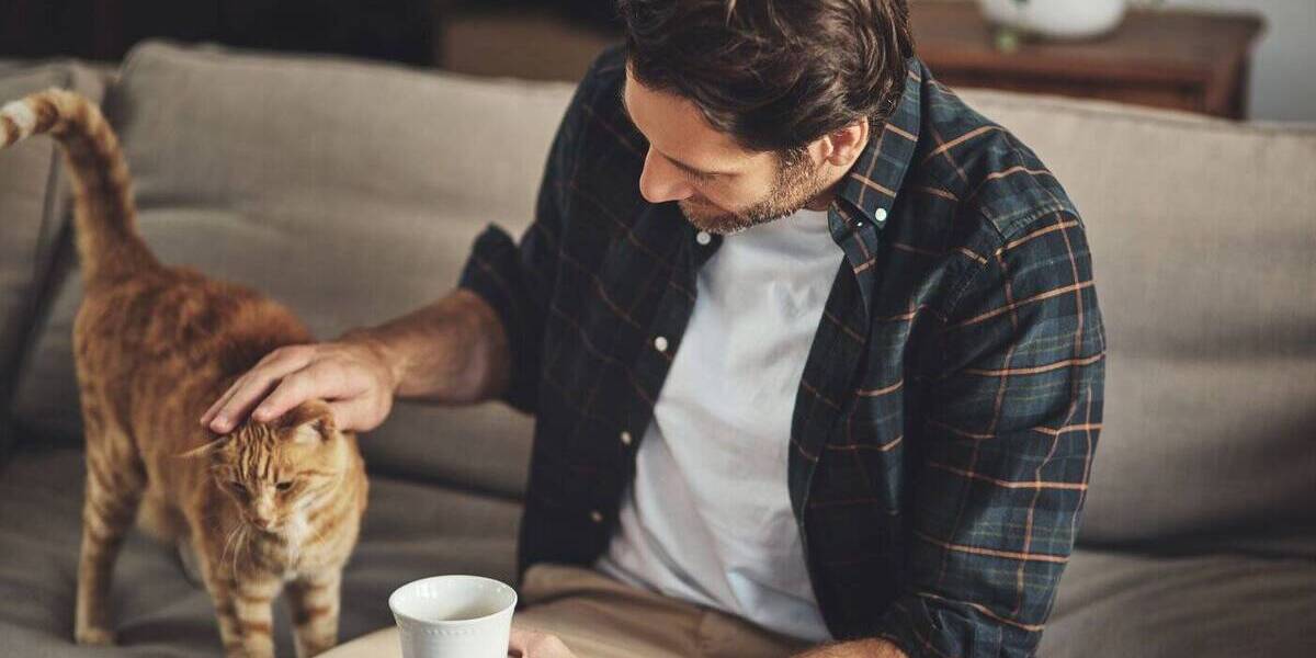 Einfamilienhaus Monschau - 6 Zimmer, 155 m&sup2;, 317.199&euro; | Angebot:25683514