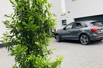 Audi Q5 195.000 km 17.500 &euro; Monschau 52156