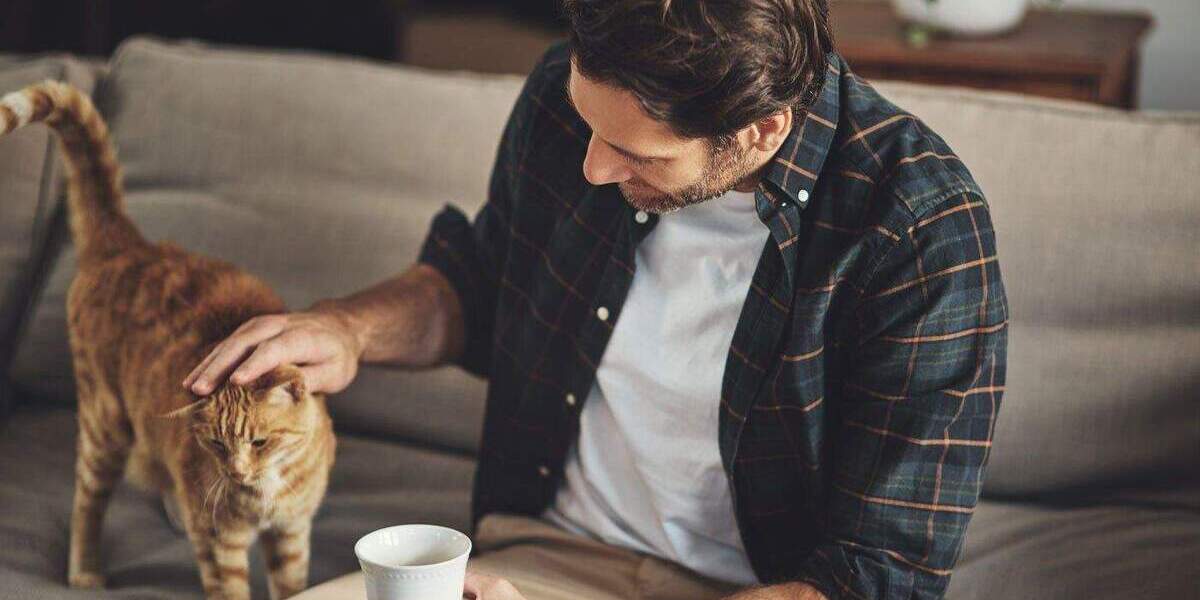 Einfamilienhaus Monschau - 6 Zimmer, 123 m&sup2;, 285.399&euro; | Angebot:25799463