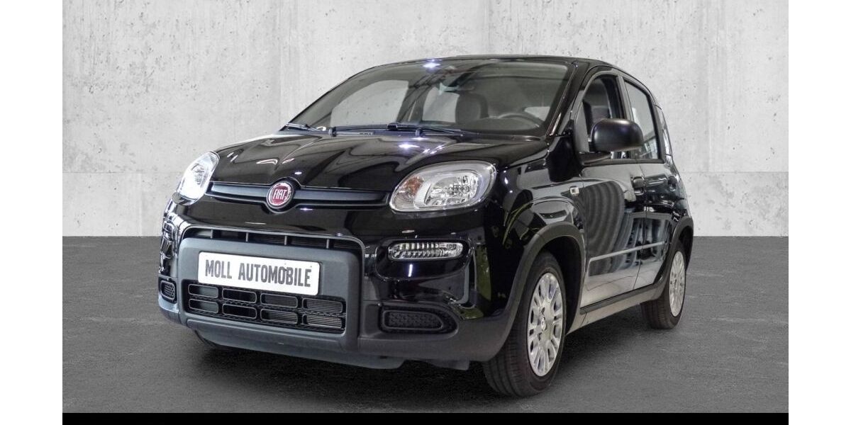 Fiat Panda 9.900 km 11.950 &euro; Aachen 52078