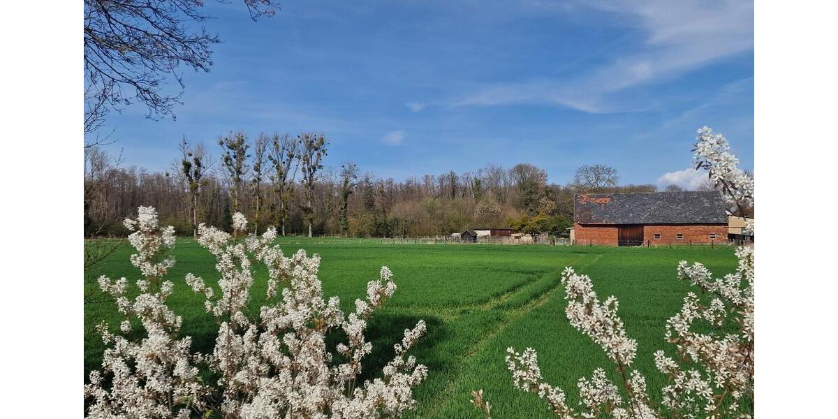 Bauernhaus, Landhaus Vettweiß - 7 Zimmer, 238 m&sup2;, 785.000&euro; | Angebot:26152345