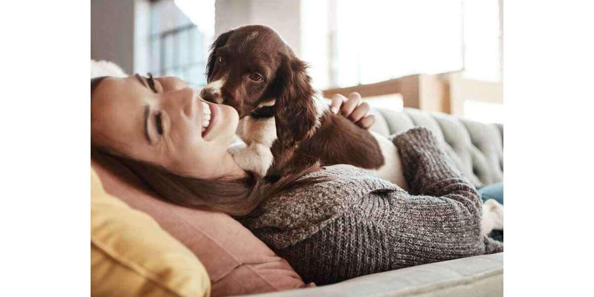 Einfamilienhaus Monschau - 5 Zimmer, 109 m&sup2;, 283.199&euro; | Angebot:25774656