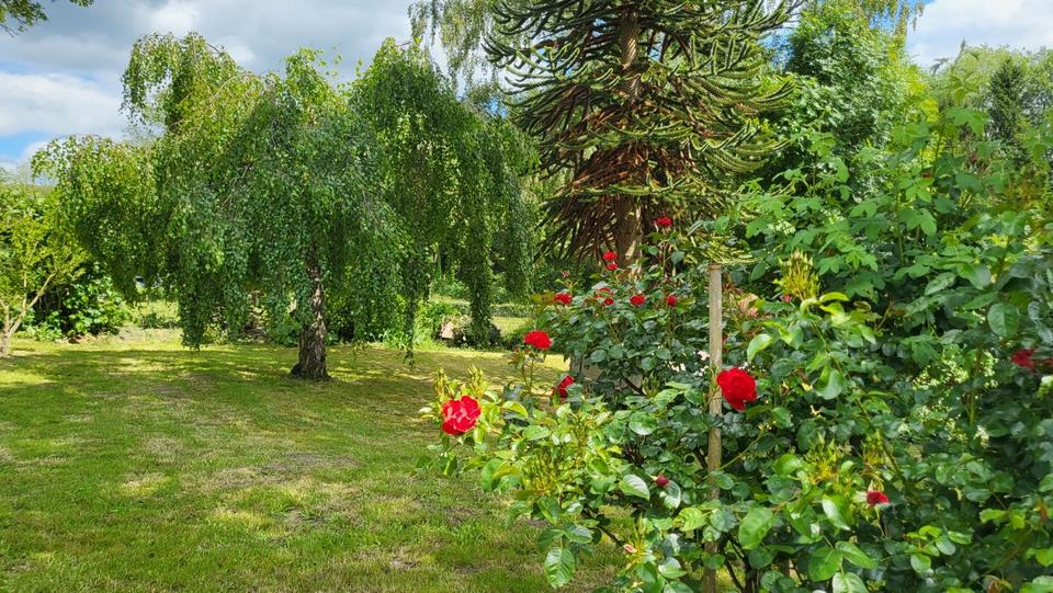 Bauernhaus, Landhaus Aachen Aachen-Mitte - 398.000&euro; | Angebot:27301302