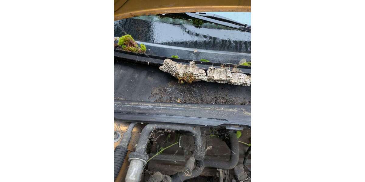 Peugeot 106 103.209 km 200 &euro; Hochkirchen (Nörvenich) 52388