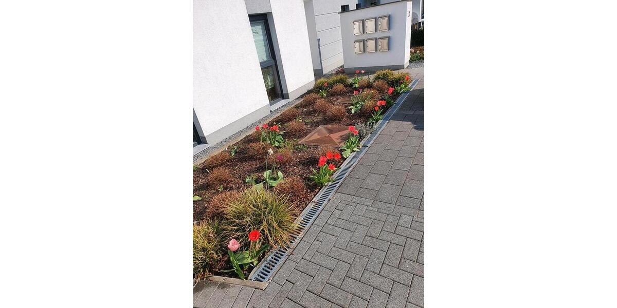 Terrassenwohnung Aachen Aachen-Mitte - 5 Zimmer, 70 m&sup2;, 289.000&euro; | Angebot:25839553