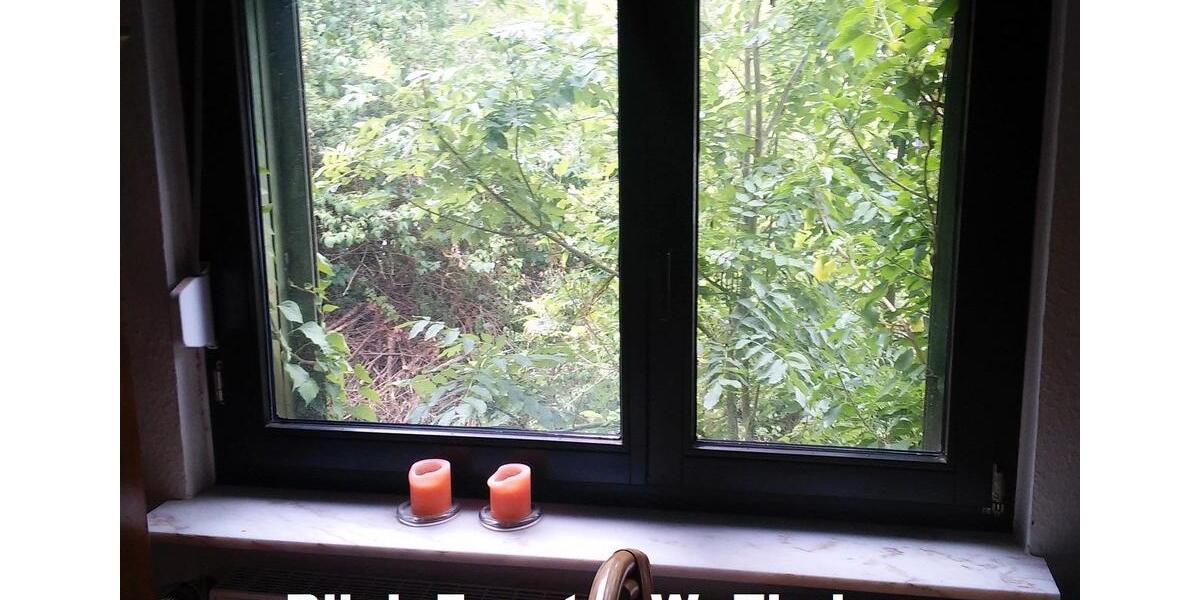 Einfamilienhaus Heimbach - 4 Zimmer, 115 m&sup2;, 99.000&euro; | Angebot:26254843