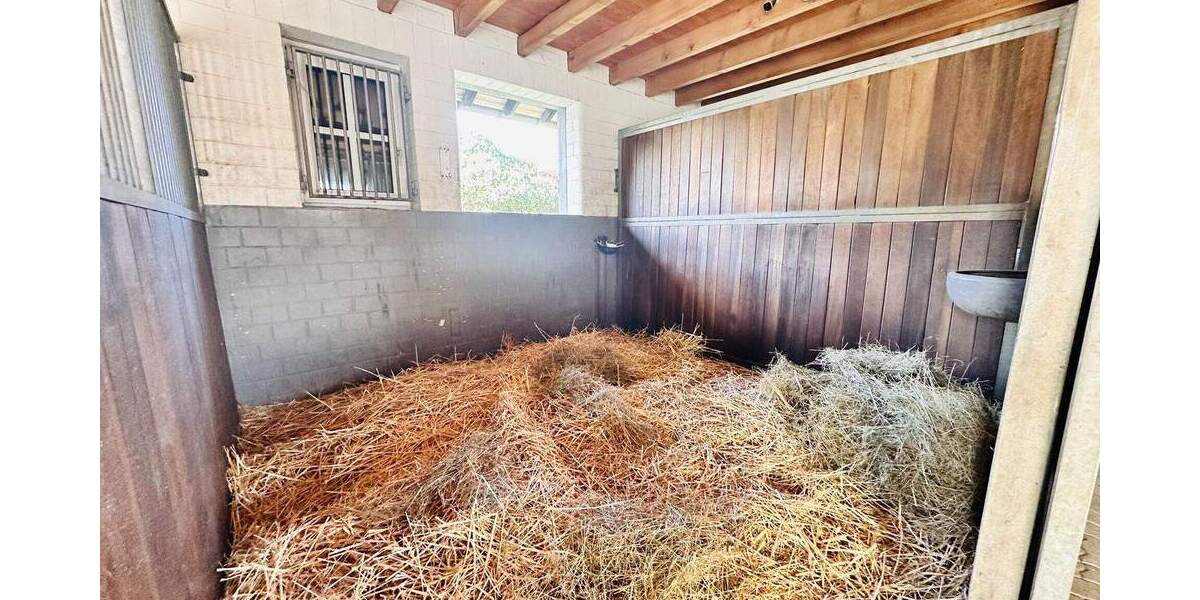 Mehrfamilienhaus, Wohnhaus Heinsberg Dremmen - 5 Zimmer, 170 m&sup2;, 997.000&euro; | Angebot:25743270