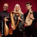 Der Troubadour und die Höfische Liebe