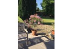 Einfamilienhaus Aldenhoven - 4 Zimmer, 135 m&sup2;, 790.500&euro; | Angebot:27245405