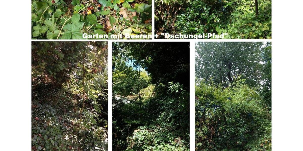 Einfamilienhaus Düren Rölsdorf - 4 Zimmer, 115 m&sup2;, 99.000&euro; | Angebot:26253397