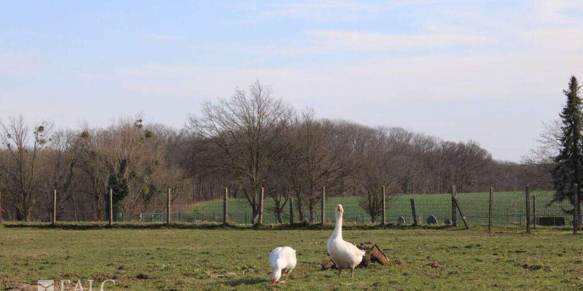 Bauernhaus, Landhaus Linnich Floßdorf - 1 Zimmer, 215 m&sup2;, 359.000&euro; | Angebot:25742778
