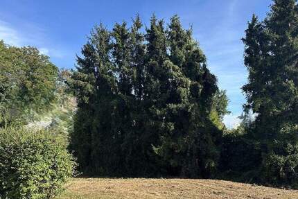 Grundstück Langerwehe - 235.000&euro; | Angebot:25821249