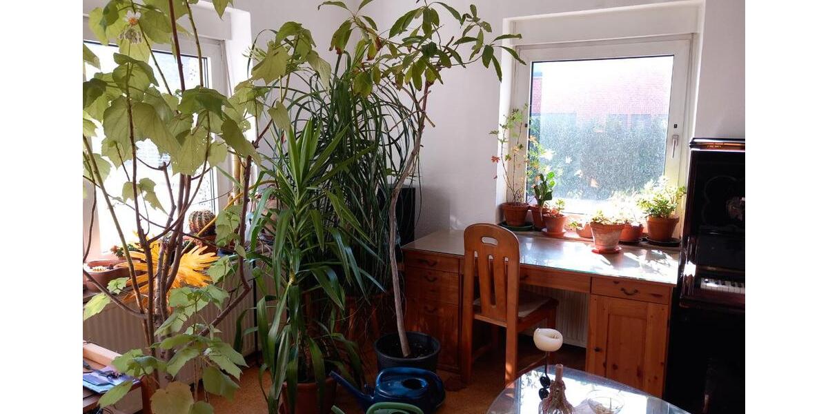 Doppelhaushälfte Würselen - 8 Zimmer, 155 m&sup2;, 343.000&euro; | Angebot:26865155