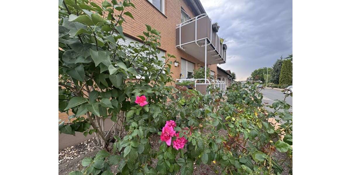 Einfamilienhaus Vettweiß - 20 Zimmer, 807 m&sup2;, 969.000&euro; | Angebot:27222151