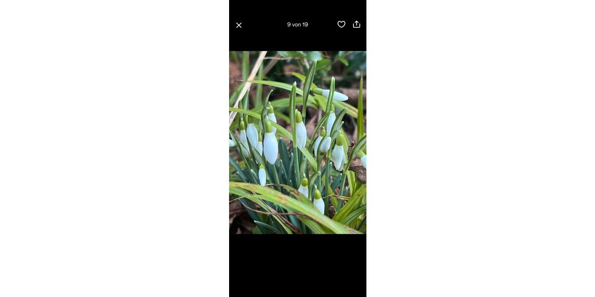 Reihenhaus Aachen Eilendorf - 4 Zimmer, 90 m&sup2;, 250.000&euro; | Angebot:26061060