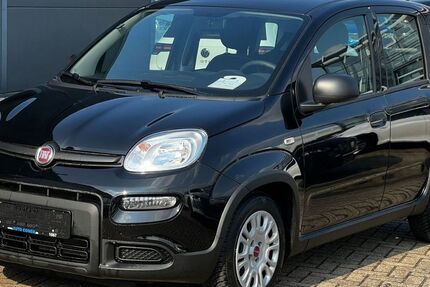 Fiat Panda 4.500 km 11.590 &euro; Düren 52351