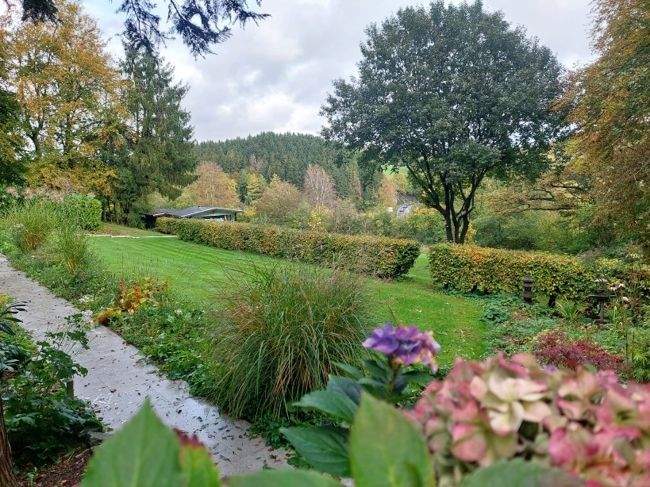 Mehrfamilienhaus, Wohnhaus Monschau - 1 Zimmer, 250 m&sup2;, 599.000&euro; | Angebot:25747992