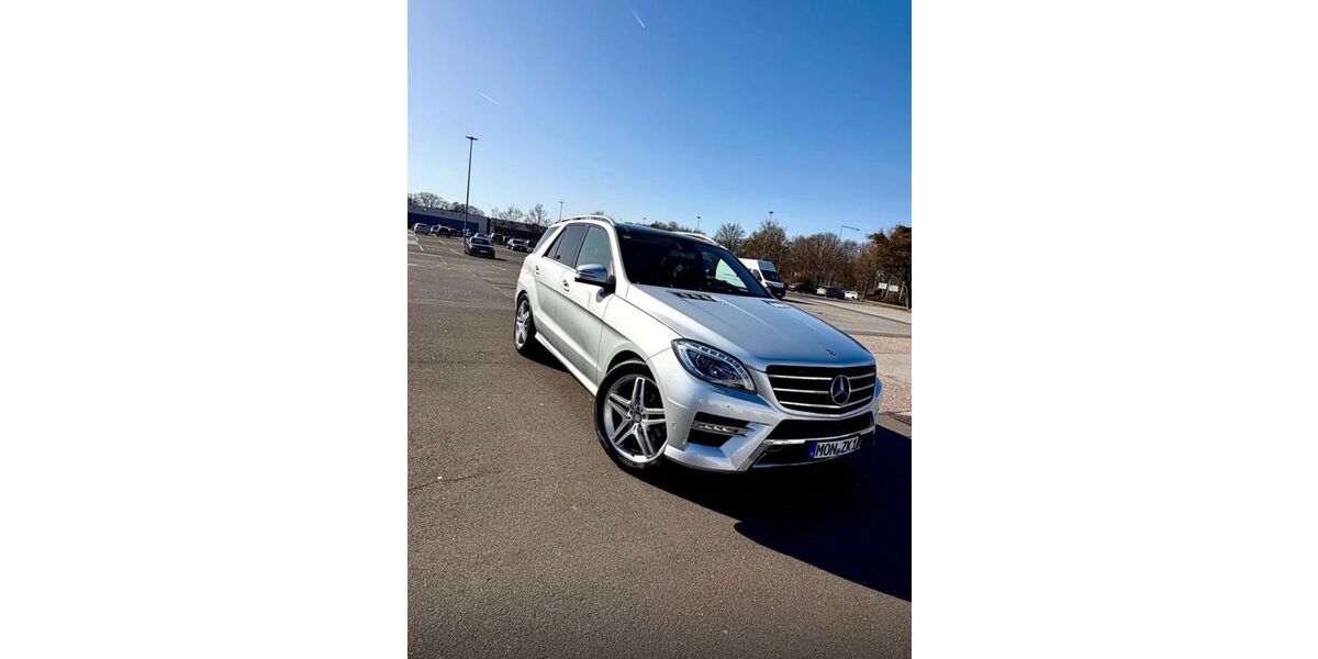 Mercedes-Benz ML 350 205.719 km 17.000 &euro; Würselen 52146